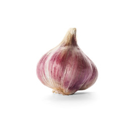 Fresh garlic head on white background