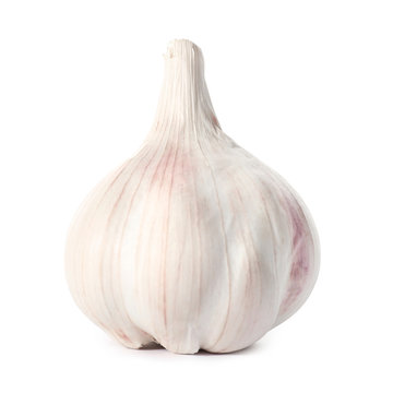 Fresh garlic head on white background