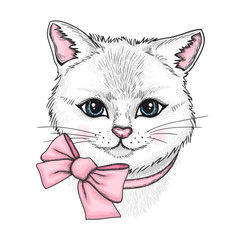 Hand drawn portrait of white cat with a pink bow