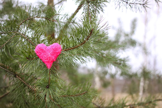 Decorative heart on green pine tree branches outdoors. - Powered by Adobe