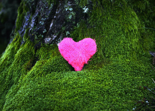 Decorative colorful heart on green moss in park.