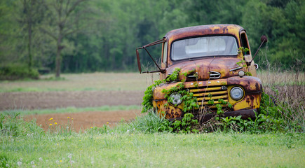 Rusted Truck In Country Field