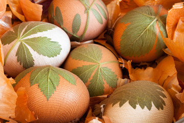 Preparation of easter eggs dyed with onion peels