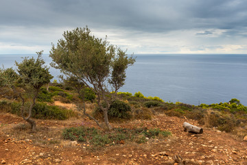 Fototapeta na wymiar Cloudy day, rocks and vegetation on Keri cape on the island of Zakynthos. Ionian sea in background. Greece