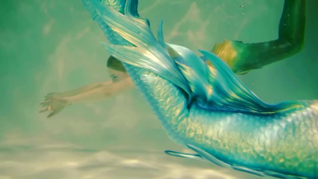beautiful mermaid with a bright fin floats under the water, women swim in the pool