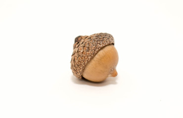 Acorn 2