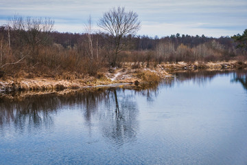 non-freezing river on winter forest backgrounds
