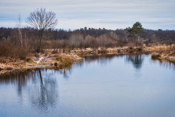 Fototapeta premium non-freezing river on winter forest backgrounds