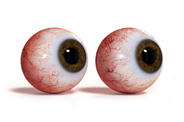two realistic human eyes with brown iris, isolated on white background