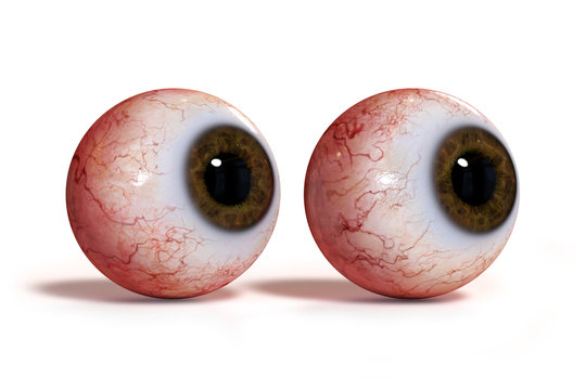 Two Realistic Human Eyes With Brown Iris, Isolated On White Background