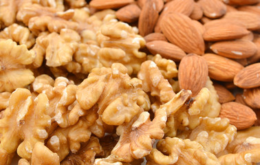 Macro of shelled walnuts and almonds