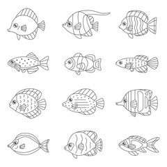 Fish outline vector icon set (tropical, marine, oceanic).