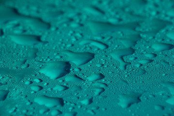 Water drops on grean plate