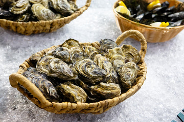 Oysters are at the shopping cart on the ice on the window.