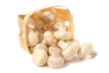 Basket of mushrooms