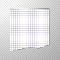 Torn Piece of Squared Paper from Spiral Bound Notebook. Clean or Blank Page Isolated on Transparent Background. Torn off Piece White Paper. Squared Album Page for Drawing or Artistic Sketches. Vector