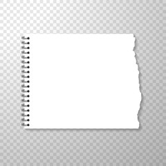 Torn Piece of Horizontal Squared Paper from Spiral Bound Notebook. Clean or Blank Page Isolated on Transparent Background. Torned Piece of White Paper. Empty Album Page for Drawing or Artistic