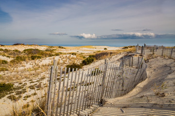 Windswept Cape Henlopen Dunes in Sussex County, Lewes, Delaware - obrazy, fototapety, plakaty