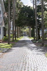 Naklejka premium Paved Path