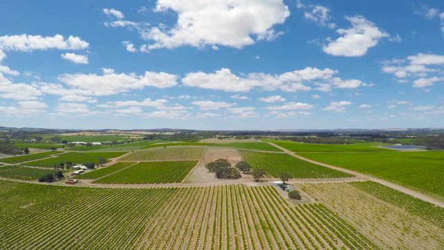 Drone aerial of the Barossa Valley, major wine growing region of South Australia, views of rows of grapevines and scenic landscape.