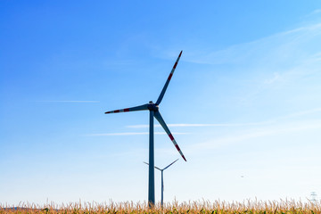 White wind power plants in a field at summer sunset light