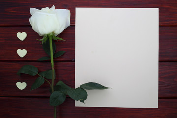 White rose and paper