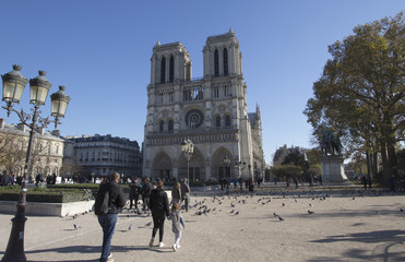 Eiffel Tower in Paris in Autumn