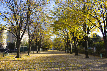 Paris park in Autumn