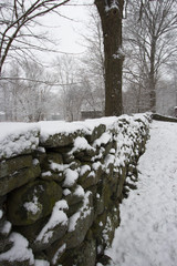 Snow scenes in garden