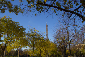 Eiffel Tower in Paris in Autumn