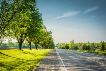 Ontario road on a summer morning