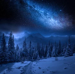 Door stickers Tatra Mountains Milky way and Tatras Mountains in winter at night, Poland