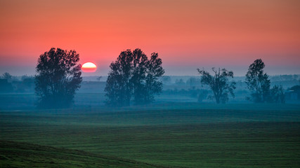 Beautiful sunrise at foggy green field in summer