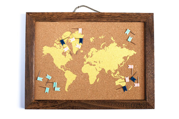 Cork board map with flag pins