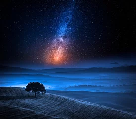Fototapeten Dreamland in Tuscany with tree on field and milky way © shaiith