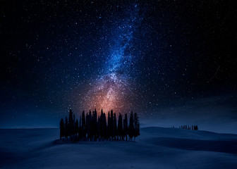 Naklejka premium Cypress trees on field at night with stars, Tuscany, Italy