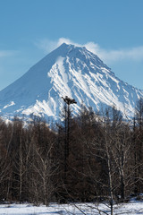 Winter volcanic landscape of Kamchatka Peninsula: view of snow-capped cone of Kamen Volcano (Stone...