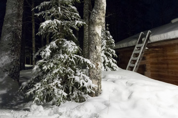 the snow-covered forest in Lapland, Finland