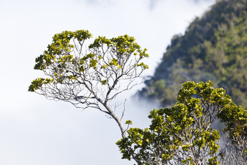 Clouds At Kalalau Lookout, Kauai