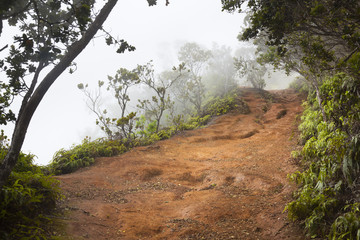Pihea Trail, Kauai, USA