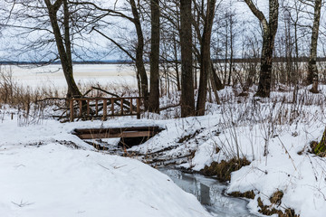 creek in the winter forest near Sestroretsk, Russia