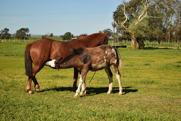 Madre e hija