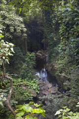 River Through Jungle, Maui