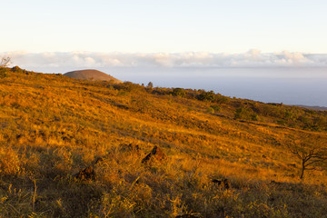 Maui Hills In Evening Light