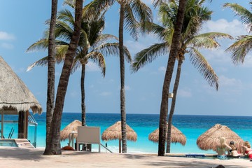 Palm trees, Cancun