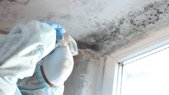 Mold remediation expert. Inspection and mold damage assessment. Mold inspection, mold testing. A full protective suit