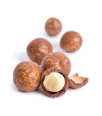 Macadamia nuts isolated on white background