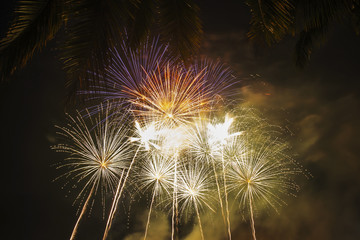 fireworks celebration in night background