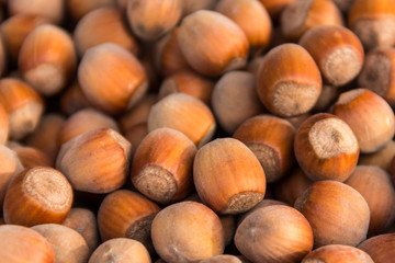 Food background of the hazelnuts. Fresh filbert close-up