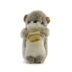 toy doll animal isolated on white background